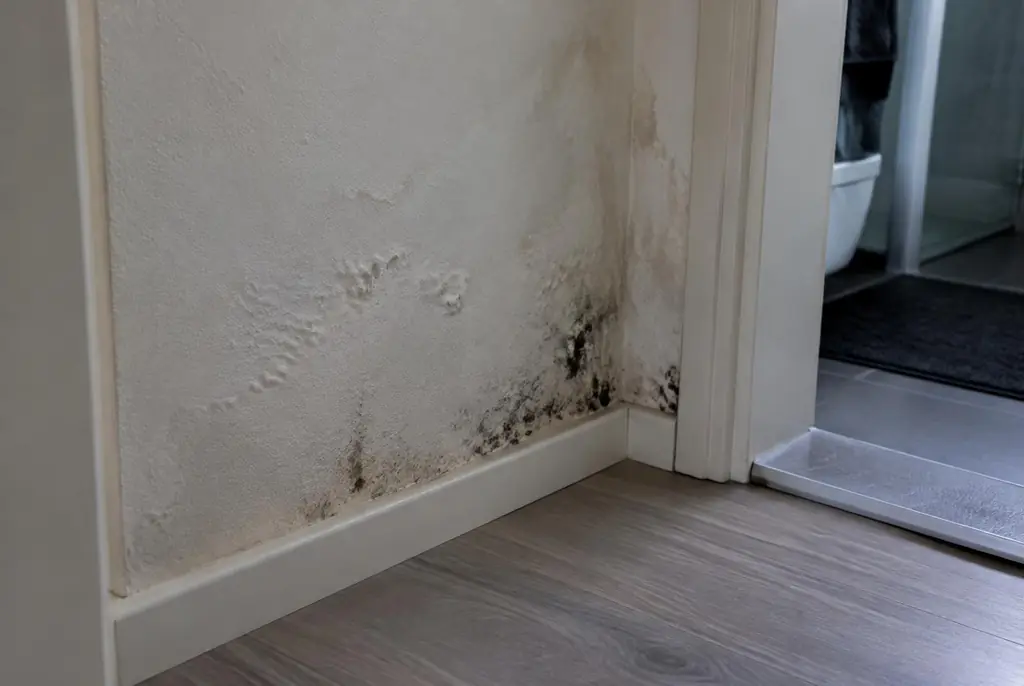 Lekdetectie Beekbergen – vochtplek met schimmel op een muur